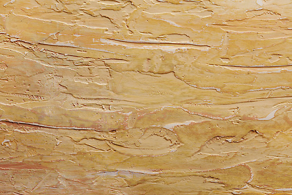 포토 JPG 해외이미지 접시 종이 벽 조각 백그라운드 컨셉 패턴 건축양식 교실 벽지 표면 추상 바닥 미술 사람없음 내부 장식 알약 갈색 공백 블록 수확 바위 도자기 황금 타일 사인 질감 캔버스 대리석 광택 판 내추럴 그런지 지질학 콘크리트 화강암 해외202004 해외포토 식기 교육 건축 컬러 무늬 농업 재료 학교 문화예술 약 암석 돌_바위 파일형식 이미지허브