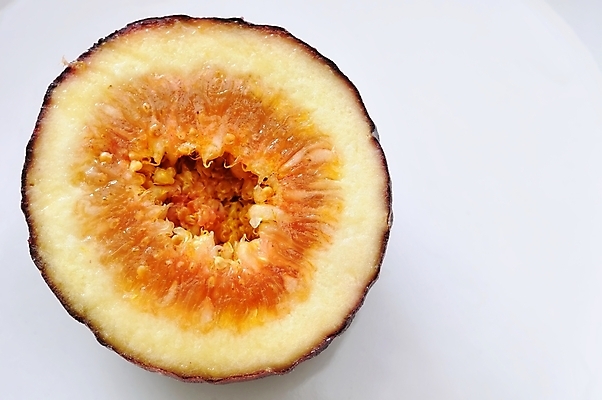 포토 JPG 해외이미지 라이프스타일 음식 백그라운드 컨셉 십자가 다이어트 과일 재료 부분 디저트 건강 사람없음 빨간색 물 갈색 흰색 신선 자르기 묘사 질감 날것 무화과 고립 숙성 줄서기 해외202004 해외포토 자연요소 컬러 모션 생활 파일형식 이미지허브