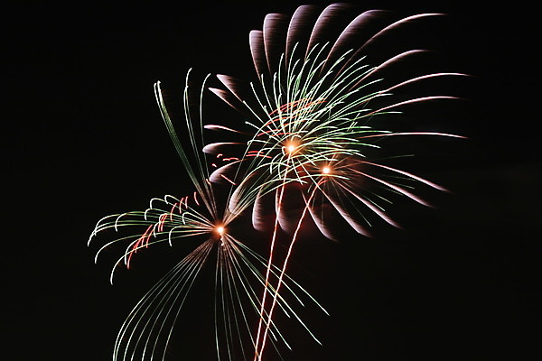 포토 JPG 해외이미지 계절 기념일 꽃 행복 별 백그라운드 오렌지 텍스트 하늘 불 휴가 불꽃 새로움 기념 폭죽 불꽃놀이 이벤트 사람없음 물 빛 강 컬러풀 반사 노란색 검은색 축제 어둠 놀람 흰색 축하 황금 닫기 야간 폭발 쇼 경례 7월 광 효과 해외202004 해외포토 자연요소 식물 감정 컬러 컨셉 과일 모션 놀이 표정 인사 날짜 파일형식 이미지허브