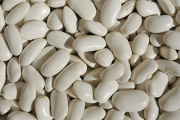 포토 JPG 해외이미지 식물 음식 백그라운드 농업 다이어트 채소 재료 자연 콩 건조 건강 요리 씨앗 사람없음 쌓기 주방 흰색 그룹 시장 신장 닫기 작음 낟알 먹기 유기농 질감 알맹이 날것 북쪽 강낭콩 내추럴 고립 단백질 생식 식용 작살 채식주의자 해외202004 해외포토 웰빙 산업 컬러 모션 곡류 비뇨기관 크기 방향 생태계 채식 영양소 파일형식 이미지허브