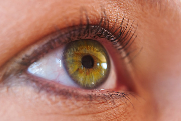 포토 JPG 해외이미지 사람 사람없음 초록색 노란색 흰색 속눈썹 피부 남아프리카 해외202004 해외포토 컬러 아프리카 신체부위 눈썹 파일형식 이미지허브