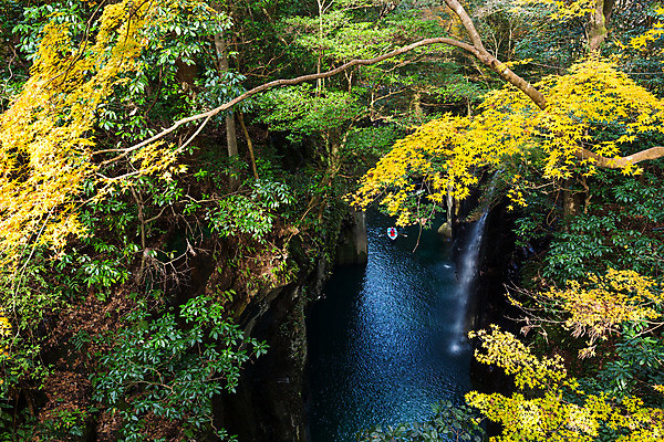 포토 JPG 해외이미지 공원 아시아 여행 잎 자연 동양인 풍경 사람없음 야외 초록색 물 파란색 강 노란색 골짜기 계곡 일본 폭포 가을 보트 숲 좁은 신성 내추럴 해외202004 해외포토 자연요소 식물 계절 공공시설 나라 컬러 인종 배 생태계 선박 파일형식 이미지허브