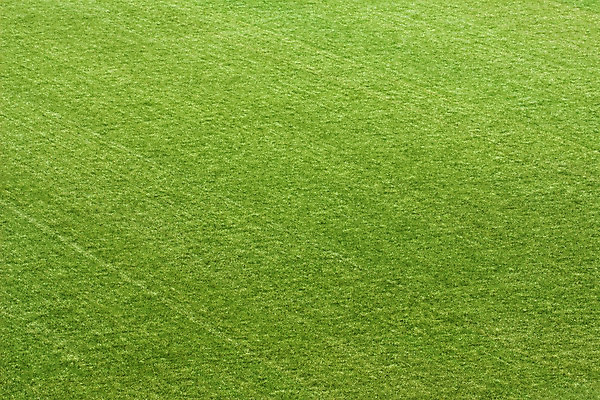 포토 JPG 해외이미지 식물 공원 선 스포츠 포즈 백그라운드 패턴 밭 자연 놀이 추상 풍경 잔디 사람없음 야외 초록색 여름 축구 경쟁 경기장 도전 성장 게임 흰색 우승 땅 싱글 질감 지역 점수 골 해외202004 해외포토 계절 공공시설 컬러 컨셉 무늬 농업 스포츠시설 구기 최고 생태계 파일형식 이미지허브