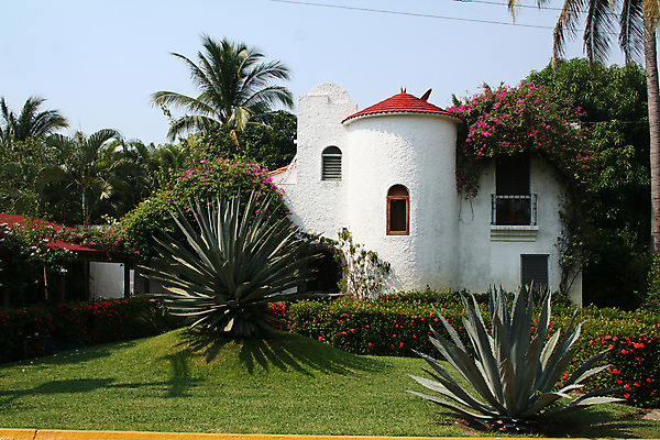 포토 JPG 해외이미지 창문 교실 유리 성공 멕시코 주택 손바닥 풍경 사람없음 금융 재산 맨션 지역 이웃 독립 전용 진짜 플로리다 해외202004 해외포토 손 교육 컨셉 북아메리카 학교 재질 건물 경제 미국 파일형식 이미지허브