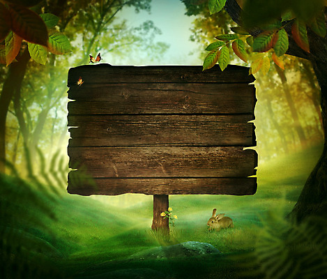 포토 JPG 해외이미지 나무 식물 디자인 계절 공원 꽃 길 나비 백그라운드 컨셉 잎 자연 추상 휴가 부활절 풍경 사람없음 목재 초록색 여름 빛 햇빛 태양 노란색 우주 환경 봄 가을 숲 사인 장면 내추럴 카피스페이스 해외202004 해외포토 자연요소 공공시설 기념일 컬러 곤충 무늬 재료 공백 생태계 파일형식 이미지허브