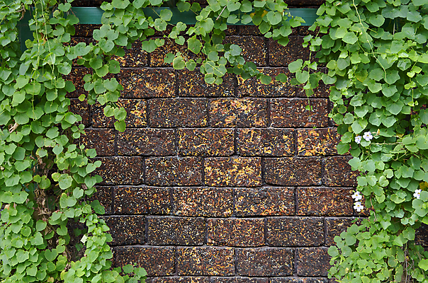 포토 JPG 해외이미지 나무 식물 벽 백그라운드 잎 패턴 건축양식 자연 표면 벽돌 돌담 사람없음 건물 초록색 정원 질감 아이비 해외202004 해외포토 건축물 건축 컬러 무늬 담장 돌_바위 생태계 파일형식 이미지허브