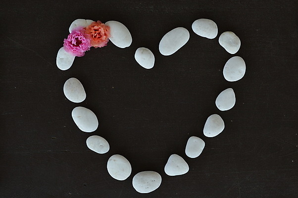 포토 JPG 해외이미지 모양 꽃 사랑 사람없음 조약돌 하트 서식 해외202004 해외포토 식물 감정 돌_바위 파일형식 이미지허브
