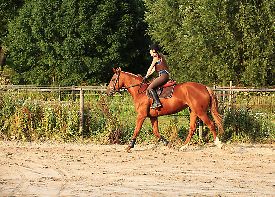 포토 JPG 해외이미지 스포츠 한명 승마 승차 라이더 해외202004 해외포토 1 모션 사람 파일형식 이미지허브