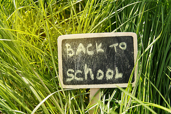 포토 JPG 해외이미지 학생 디자인 배너 알파벳 교육 백그라운드 컨셉 패턴 장신구 교실 학교 휴가 잔디 사람없음 목재 컬러풀 라벨 검은색 교사 칠판 장비 흰색 기록 가르침 9월 편지 오브젝트 분필 엘리먼트 초보 레터링 해외202004 해외포토 나무 식물 직업 영어 컬러 무늬 재료 프레임 날짜 초크 파일형식 이미지허브