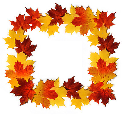 포토 JPG 해외이미지 식물 계절 단풍 잎 오렌지 자연 건조 사람없음 빨간색 컬러풀 노란색 화환 활발 가을 흰색 강렬 고립 해외202004 해외포토 꽃 컬러 컨셉 과일 생태계 파일형식 이미지허브