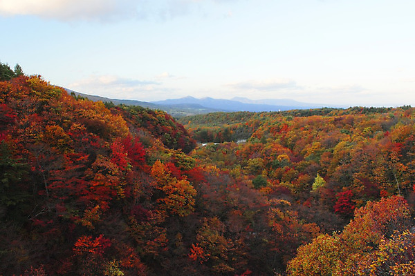 포토 JPG 해외이미지 주간 구름 단풍 자연 하늘 단풍나무 산 풍경 사람없음 야외 가을풍경 가을 산등성이 해외202004 해외포토 자연요소 나무 계절 잎 생태계 파일형식 가을_계절 이미지허브