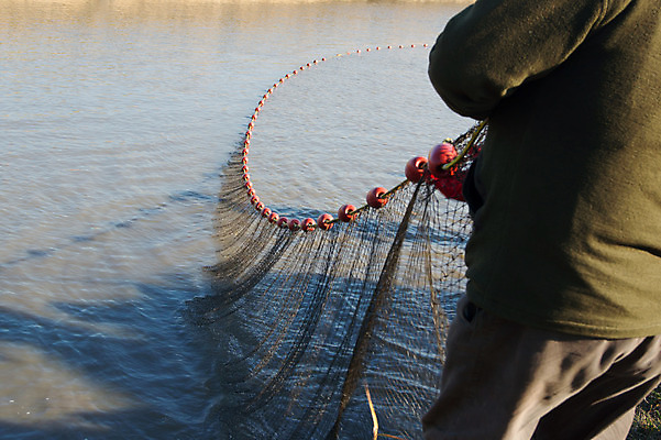 포토 JPG 해외이미지 호수 음식 낚시 건조 매달리기 어류 앉기 사람없음 야외 가로 물 강 장비 신선 잡기 그물 운반 어선 낚시꾼 코르크 민물 옛날 해외202004 해외포토 자연요소 배_교통 모션 레저 수중동물 파일형식 이미지허브