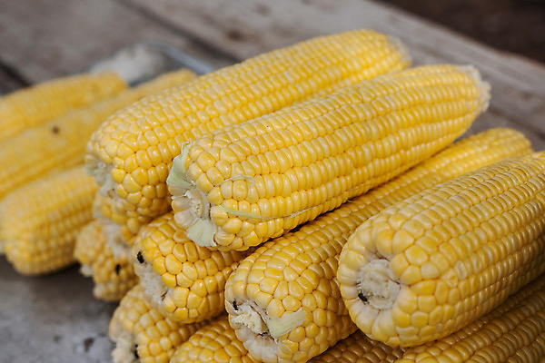 포토 JPG 해외이미지 라이프스타일 접시 음식 조각 백그라운드 잎 다이어트 토마토 채소 재료 자연 건강 옥수수 요리 사람없음 빨간색 노란색 주방 식사 저녁식사 샐러드 흰색 신선 그룹 맛 상추 수집 먹기 레몬 상쾌 유기농 양배추 날것 후추 모음 고립 숙성 채식주의자 총각무 비건 해외202004 해외포토 식물 식기 웰빙 감정 컬러 컨셉 과일 모션 곡류 생활 무 향신료 생태계 채식 파일형식 이미지허브