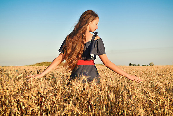 포토 JPG 해외이미지 식물 1 라이프스타일 계절 음식 빵 줄기 백그라운드 밭 농업 자연 하늘 건조 건강 옥수수 씨앗 한명 풍경 야외 여름 농작물 햇빛 농장 노란색 맑음 터치 수확 시골 황금 낟알 땅 시리얼 밀 유기농 보리 귀 스파이크 밀짚 내추럴 무료 숙성 호밀 해외202004 해외포토 웰빙 산업 컬러 날씨 곡류 사람 생활 신체부위 태양 짚 생태계 파일형식 이미지허브