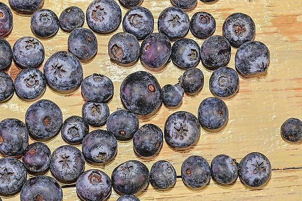 포토 JPG 해외이미지 식물 열매 음식 백그라운드 잎 농업 다이어트 과일 재료 디저트 건강 사람없음 목재 빨간색 초록색 여름 파란색 검은색 가을 흰색 신선 원형 그룹 사발 시장 달콤 아침식사 약초 숲 먹기 유기농 블루베리 날것 블랙베리 흙더미 내추럴 고립 숙성 월귤 채식주의자 해외202004 해외포토 도형 나무 웰빙 계절 산업 컬러 모션 식사 흙 풀_식물 사기그릇 맛 채식 파일형식 더미 이미지허브