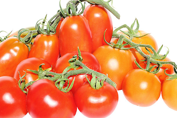 포토 JPG 해외이미지 직업 계절 음식 백그라운드 밭 농업 토마토 채소 재료 자연 건강 종류 취미 사람없음 야외 빨간색 여름 농작물 햇빛 농장 정원 모임 수확 성장 시골 신선 잡기 그룹 선택 유기농 원예 날것 내추럴 밭일 숙성 채식주의자 해외202004 해외포토 웰빙 산업 컬러 컨셉 모션 태양 생태계 채식 파일형식 이미지허브