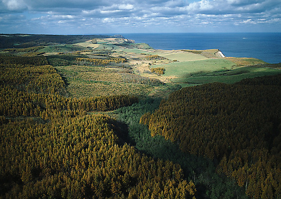 포토 JPG 해외이미지 나무 식물 구름 계절 공원 도로 길 여행 백그라운드 밭 오렌지 자연 하늘 날씨 풍경 잔디 사람없음 야외 초록색 여름 빛 햇빛 태양 농장 노란색 평화 일출 환경 정원 맑음 일몰 흙 봄 안개 광선 흰색 시골 신선 떨어짐 숲 땅 언덕 장면 넘어짐 땅바닥 방법 생태학 수평선 해외202004 해외포토 자연요소 공공시설 교육 컬러 컨셉 농업 과일 교통시설 모션 바닥 노을 생태계 파일형식 이미지허브