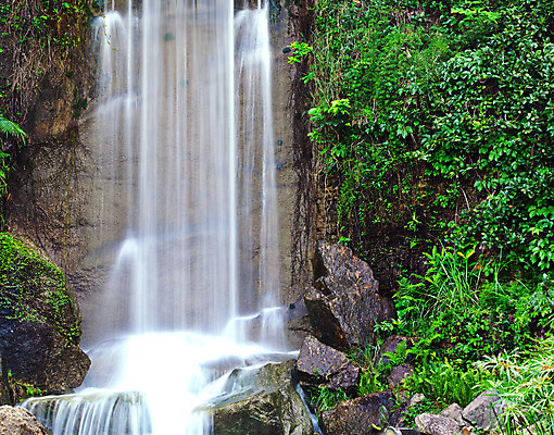 포토 JPG 해외이미지 나무 식물 행복 아시아 여행 백그라운드 잎 모션 자연 추상 풍경 사람없음 야외 초록색 물 여름 파란색 강 햇빛 태양 평화 귀여움 환경 침묵 폭포 젖음 흐름 바위 물방울 개울 떨어짐 매끈함 숲 당구 순수 장면 엘리먼트 해외202004 해외포토 자연요소 계절 감정 나라 컬러 컨셉 무늬 빛 구기 소리 감각 생태계 파일형식 이미지허브