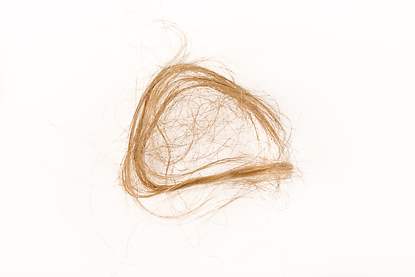 포토 JPG 해외이미지 사람없음 뷰티 머리카락 흰배경 헤어관리 두피케어 탈모 탈모클리닉 해외202004 탈모예방 해외포토 백그라운드 머리 흰색 예방 클리닉 증상 파일형식 이미지허브