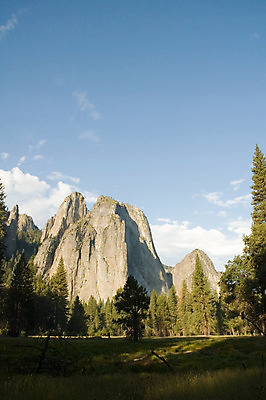 포토 JPG 해외이미지 나무 산 바닥 사람없음 컬러풀 계곡 절벽 붓 씻기 요세미티국립공원 화강암 해외202004 해외포토 식물 컬러 국립공원 청결 암석 캘리포니아 파일형식 이미지허브