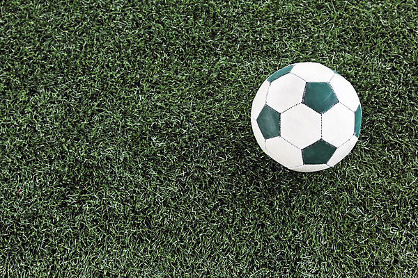 포토 JPG 해외이미지 식물 공원 백그라운드 패턴 밭 자연 놀이 표면 추상 바닥 실내 잔디 사람없음 야외 초록색 운동 정원 축구 경기장 봄 카펫 야구 덮개 게임 플라스틱 질감 합성 섬유 내추럴 거짓 땅바닥 법정 인공 해외202004 해외포토 계절 공공시설 컬러 무늬 농업 스포츠시설 재질 건강 내부 구기 뚜껑 직물 생태계 파일형식 이미지허브