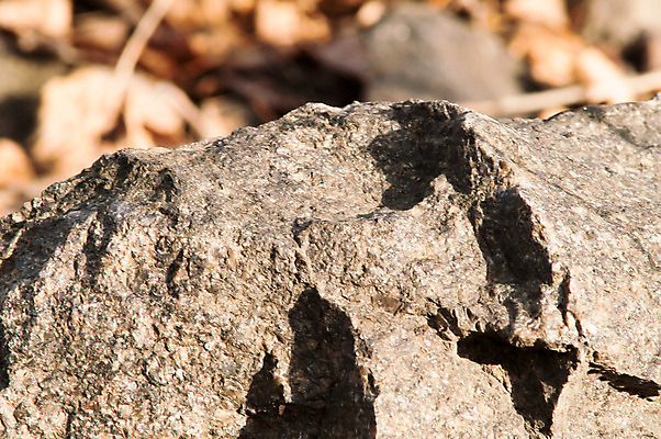포토 JPG 해외이미지 벽 여행 백그라운드 창문 자연 탁자 추상 산 주택 협상 풍경 사람없음 야외 내부 목재 초록색 빛 햇빛 태양 쌓기 계단 마을 맑음 이탈리아 가을 바위 시골 정상 질감 과거 장면 지하 타운 선사시대 단계 내추럴 옛날 수평선 해외202004 해외포토 자연요소 나무 계절 유럽 컬러 가구 컨셉 무늬 비즈니스 재료 모션 날씨 건물 돌_바위 도시 역사 생태계 파일형식 이미지허브