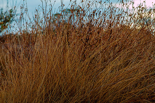포토 JPG 해외이미지 식물 구름 계절 여행 백그라운드 밭 오렌지 자연 하늘 아침 날씨 산 풍경 사람없음 야외 초록색 여름 빛 컬러풀 햇빛 태양 농장 노란색 일출 환경 계곡 일몰 봄 새벽 시골 신선 저녁 숲 땅 장면 내추럴 산악지대 넘어짐 수평선 해외202004 해외포토 주간 자연요소 컬러 농업 과일 모션 노을 야간 생태계 파일형식 이미지허브