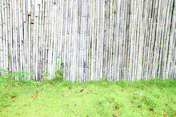 포토 JPG 해외이미지 식물 전통 아시아 문화 선 벽 백그라운드 패턴 밭 자연 놀이 동양인 사람없음 야외 목재 장식 초록색 울타리 갈색 노란색 우주 정원 일본 축구 중국 성장 게임 나뭇가지 원형 막대기 숲 묶기 대나무 보따리 유기농 질감 나무껍질 내추럴 그런지 옛날 해외202004 해외포토 도형 나무 웰빙 나라 컬러 무늬 농업 재료 모션 인종 담장 구기 껍질 생태계 파일형식 이미지허브