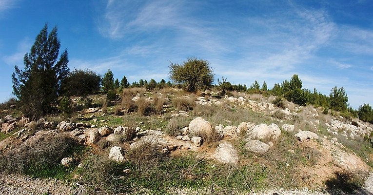 포토 JPG 해외이미지 나무 지구 중동 자연 하늘 산 풍경 사람없음 야외 파란색 컬러풀 바위 시골 소나무 원형 숲 언덕 사암 슬로프 어안 왜곡 이스라엘 해외202004 해외포토 도형 식물 나라 컬러 스키장 돌_바위 생태계 서아시아 파일형식 이미지허브