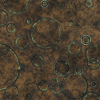 포토 JPG 해외이미지 디자인 종이 벽 백그라운드 추상 사람없음 그래픽 갈색 어둠 손상 수확 골동품 반지 점 얼룩 거친 역사 균열 떨어짐 낟알 부식 질감 복고 캔버스 페이지 시들음 구김 그런지 스크랩북 썩음 양피지 옛날 해외202004 해외포토 컬러 컨셉 무늬 농업 장신구 모션 파일형식 이미지허브