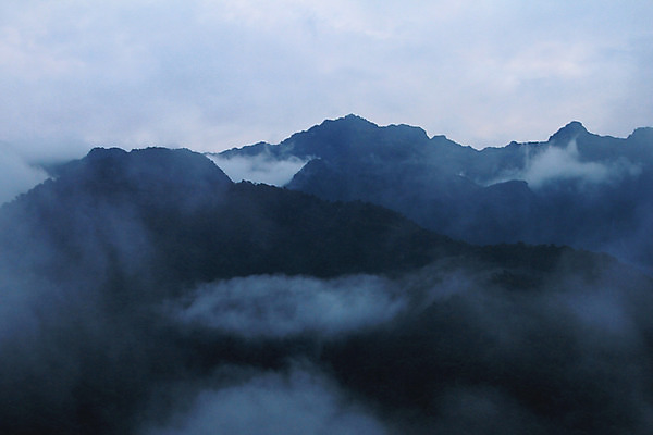 포토 JPG 해외이미지 나무 식물 구름 잎 자연 산 풍경 사람없음 초록색 평화 미국 습기 촉촉함 안개 물방울 황무지 분위기 숲 신비 열대우림 에콰도르 마법 내추럴 산악지대 뿌연 해외202004 해외포토 자연요소 컬러 컨셉 북아메리카 날씨 젖음 남아메리카 생태계 파일형식 이미지허브