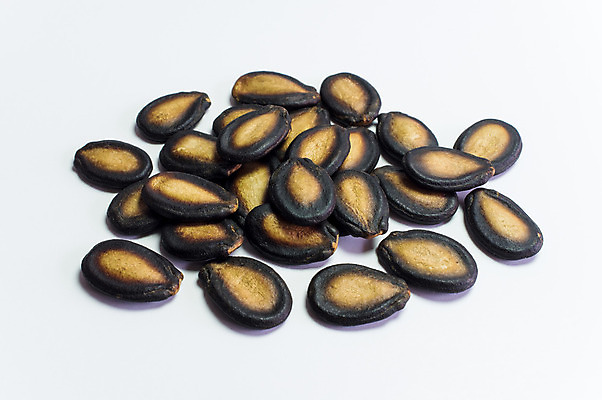 포토 JPG 해외이미지 모양 식물 라이프스타일 계절 음식 백그라운드 농업 다이어트 재료 자연 수박 건조 건강 요리 씨앗 사람없음 정원 검은색 코트 수확 성장 껍질 신선 작음 굽기 먹기 묘사 질감 알맹이 날것 고립 짠맛 해외202004 해외포토 산업 컬러 과일 모션 생활 외투 맛 크기 구이 생태계 파일형식 이미지허브