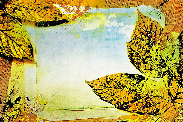 포토 JPG 해외이미지 나무 구름 계절 종이 백그라운드 단풍 잎 밭 채소 오렌지 일러스트 자연 조류 하늘 프레임 풍경 사람없음 목재 파란색 농작물 갈색 노란색 페인트 가을 나뭇가지 시골 떨어짐 사인 그림 질감 추수감사절 해외202004 해외일러스트 자연요소 식물 동물 기독교 컬러 컨셉 농업 과일 재료 생태계 파일형식 이미지허브