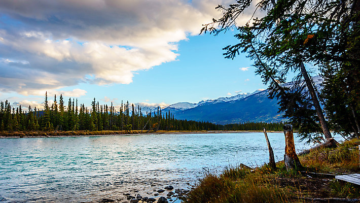포토 JPG 해외이미지 나무 구름 공원 여행 캐나다 자연 하늘 아침 산 풍경 사람없음 초록색 물 여름 강 환경 맑음 새벽 흐름 소나무 개울 급류 콜롬비아 숲 암초 내추럴 굴곡 앨버타 전국 절정 로키산맥 해외202004 해외포토 주간 자연요소 식물 계절 공공시설 컬러 컨셉 북아메리카 날씨 남아메리카 생태계 파일형식 이미지허브
