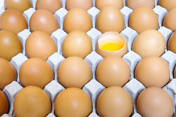 포토 JPG 해외이미지 동물 음식 백그라운드 컨셉 다이어트 재료 포장 부분 자연 조류 부활절 건강 요리 사람없음 농장 갈색 노란색 계란 치킨 성장 껍질 흰색 신선 얼룩 액체 그룹 아침식사 먹기 싱글 유기농 날것 칼로리 노른자 판지 고립 깨짐 단백질 등나무 생식 암탉 처음 취급주의 해외202004 해외포토 나무 웰빙 기념일 컬러 농업 모션 경고 알 식사 닭 암컷 생태계 닭고기요리 영양소 파일형식 이미지허브