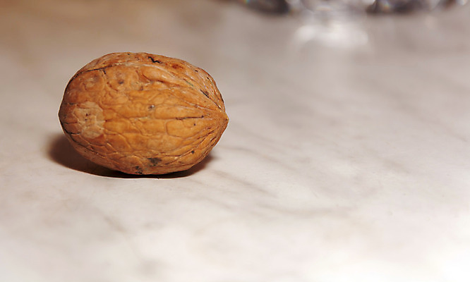 포토 JPG 해외이미지 음식 백그라운드 패턴 다이어트 자연 표면 디저트 건조 건강 요리 사람없음 갈색 견과류 수확 껍질 가을 흰색 오픈 주름 닫기 맛 먹기 기아 오브젝트 질감 알맹이 날것 대리석 호두 내추럴 고립 효과 해외202004 해외포토 계절 컬러 컨셉 무늬 농업 재료 모션 사회이슈 생태계 파일형식 이미지허브