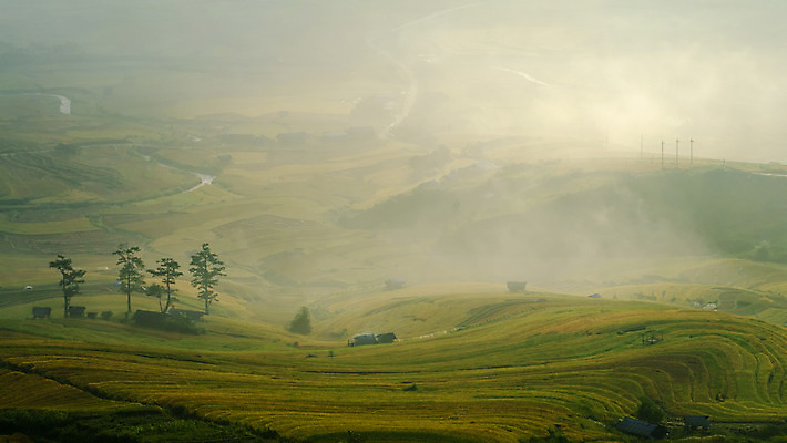 포토 JPG 해외이미지 식물 아시아 지구 음식 여행 잎 밭 곡선 태국 자연 밥 산 동양인 풍경 사람없음 야외 초록색 농장 환경 계곡 중국 일몰 흙 거친 땅 원예 베트남 발리 캄보디아 지역 말레이시아 경영 규정 땅바닥 미얀마 생태학 인도차이나반도 제어 해외202004 해외포토 교육 나라 선 컬러 섬 농업 비즈니스 바닥 인종 취미 노을 동남아시아 생태계 인도네시아 파일형식 이미지허브