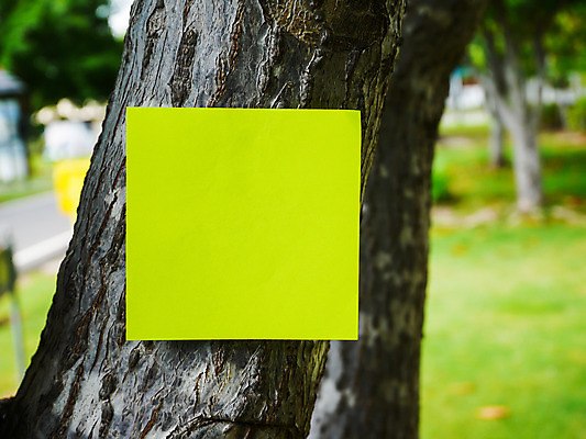 포토 JPG 해외이미지 나무 식물 디자인 공원 종이 벽 백그라운드 일러스트 비즈니스 자연 휴가 사람없음 야외 목재 초록색 컬러풀 사무실 갈색 노란색 우주 검은색 쪽지 공백 발표 메시지 방향 오브젝트 사인 질감 나무껍질 고립 블러 어려움 엘리먼트 옛날 조언 해외202004 해외포토 공공시설 컬러 재료 껍질 생태계 파일형식 이미지허브