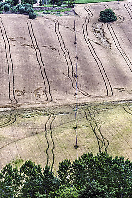 포토 JPG 해외이미지 식물 전통 계절 산업 도로 선 음식 농업 자연 날씨 휴식 사람없음 야외 세로 물 노란색 평화 봄 에너지 자유 수확 성장 시골 시간 업무 작음 시리얼 밀 순수 묘사 언덕 순환 귀 부드러움 자원 루트 영양분 해외202004 해외포토 자연요소 길 컬러 컨셉 교통시설 모션 곡류 신체부위 작업 감각 크기 생태계 파일형식 이미지허브