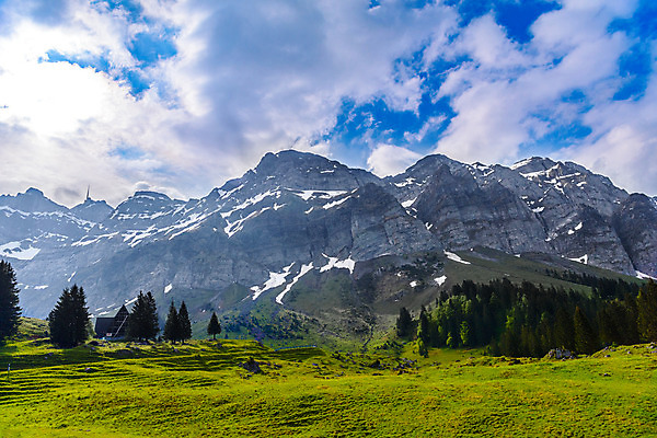 포토 JPG 해외이미지 나무 꽃 유럽 호수 여행 백그라운드 밭 자연 하늘 산 파노라마 풍경 사람없음 야외 초록색 여름 파란색 마을 계곡 맑음 봄 하이킹 동굴 정상 숲 오솔길 당구 스위스 알프스 통과 바이킹 옛날 절정 파라다이스 해외202004 해외포토 식물 계절 나라 길 컬러 농업 레저 날씨 촬영기법 구기 생태계 파일형식 이미지허브