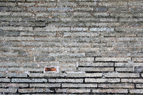 포토 JPG 해외이미지 벽 백그라운드 패턴 건축양식 벽지 표면 날씨 벽돌 바닥 석조 사람없음 빨간색 갈색 검은색 페인트 블록 수확 골동품 흰색 도시 거친 버리기 부식 질감 복고 정사각형 시멘트 벽돌담 구식 그런지 깨짐 석고 옛날 콘크리트 회복 노화 효과 해외202004 해외포토 도형 건축 컬러 컨셉 무늬 농업 모션 담장 파일형식 이미지허브