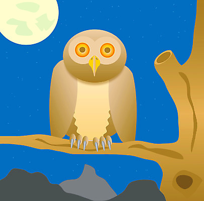 포토 JPG 해외이미지 나무 별 조류 산 표정 사람없음 달 나뭇가지 야간 부엉이 집게발 해외202004 해외포토 자연요소 식물 동물 파일형식 이미지허브