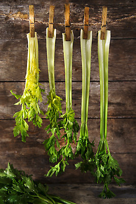 포토 JPG 해외이미지 음식 줄기 잎 농업 다이어트 채소 재료 건강 요리 사람없음 초록색 신선 먹기 유기농 날것 뿌리 내추럴 고립 채식주의자 해외202004 해외포토 식물 웰빙 산업 컬러 모션 채식 파일형식 이미지허브