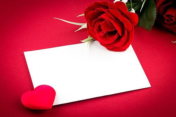 포토 JPG 해외이미지 모양 식물 기념일 꽃잎 꽃 꽃다발 백그라운드 꽃무늬 텍스트 자연 발렌타인데이 선물 사랑 사람없음 장식 빨간색 장미 귀여움 축제 희망 하트 축하 신선 신용카드 개화 다발 배열 심볼 순수 열정 해외202004 해외포토 감정 컬러 컨셉 무늬 데이이벤트 이벤트 금융 생태계 파일형식 이미지허브