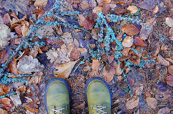 포토 JPG 해외이미지 계절 공원 여행 백그라운드 신발 잎 자연 휴가 부츠 이끼 서기 사람 사람없음 야외 컬러풀 걷기 흙 산책 추위 가을 시골 숲 진흙 상록수 침엽수 원뿔 10월 내추럴 땅바닥 생태학 해외202004 해외포토 도형 나무 식물 공공시설 교육 컬러 모션 휴식 바닥 날짜 생태계 파일형식 이미지허브