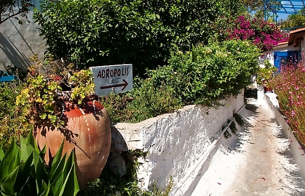 포토 JPG 해외이미지 꽃 길 섬 잎 자국 하늘 노동자 주택 간판 그림자 사람없음 건물 초록색 파란색 페인트 도자기 역사 냄비 작음 오솔길 목수 그리스 좁은 아테네 이웃 그리스인 구역 방법 옛날 이민 그리너리 해외202004 해외포토 서양인 식물 직업 건축물 유럽 컬러 이동 솥 크기 파일형식 트랜드컬러 이미지허브