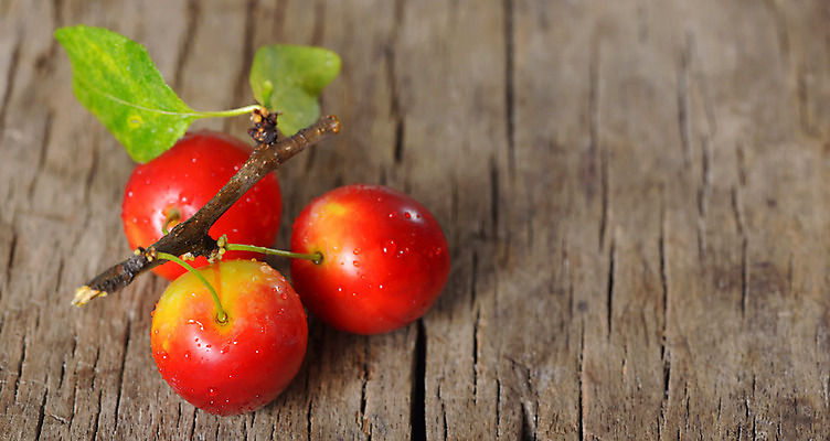 포토 JPG 해외이미지 음식 백그라운드 잎 2 농업 다이어트 과일 디저트 건강 사람없음 목재 빨간색 초록색 파란색 컬러풀 정원 보라색 수확 신선 체리 그룹 닫기 달콤 맛 오브젝트 유기농 원예 날것 광택 자두 흙더미 강렬 숙성 채식주의자 해외202004 해외포토 나무 식물 웰빙 산업 컬러 컨셉 재료 모션 취미 흙 채식 파일형식 더미 이미지허브