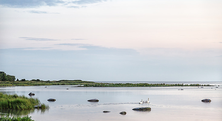 포토 JPG 해외이미지 동물 구름 바다 조류 하늘 스웨덴 사람없음 초록색 물 수영 바위 아기 백조 수평선 해외202004 해외포토 자연요소 컬러 북유럽 사람 돌_바위 수상스포츠 파일형식 이미지허브