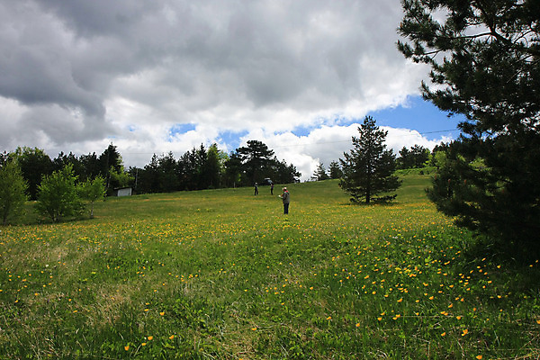 포토 JPG 해외이미지 나무 구름 꽃 밭 자연 하늘 휴가 산 한명 풍경 야외 초록색 파란색 컬러풀 노란색 봄 자유 시골 숲 그림 해외202004 해외포토 자연요소 식물 1 계절 컬러 컨셉 농업 사람 생태계 파일형식 이미지허브