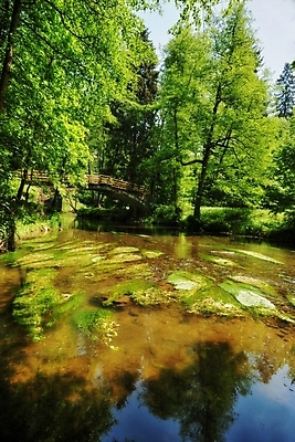 포토 JPG 해외이미지 나무 식물 계절 공원 여행 잎 자연 하늘 산 풍경 사람없음 야외 초록색 물 여름 파란색 강 반사 평화 환경 맑음 봄 폭포 젖음 흐름 가을 바위 시골 개울 떨어짐 숲 스위스 장면 체코 내추럴 공화국 해외202004 해외포토 자연요소 공공시설 유럽 나라 컬러 컨셉 날씨 돌_바위 생태계 파일형식 이미지허브